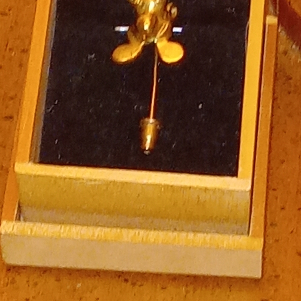 Frog Pin - Picture 11 of 14